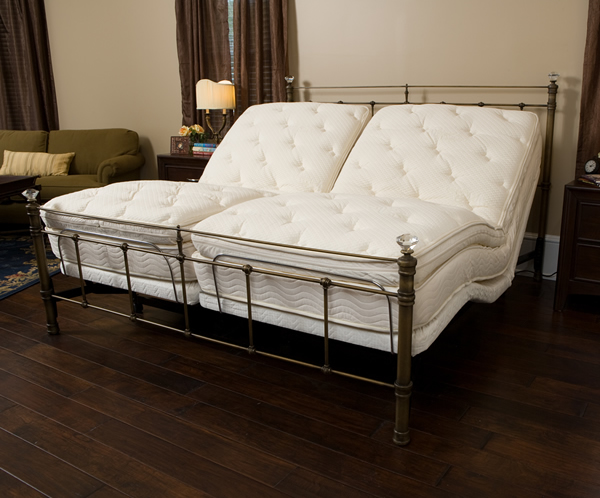 GoldenRest Elite Dual King Bed with Bamboo Z-Mat Mattresses